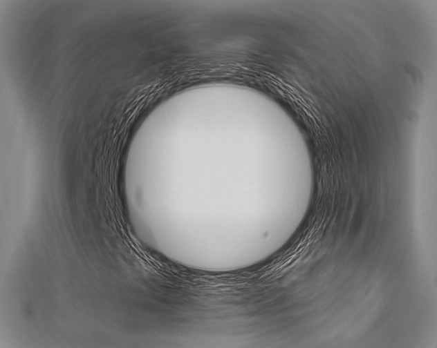 X0000112161441200908070929