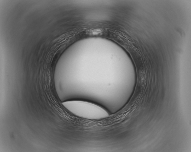 X0000112161442200908070929