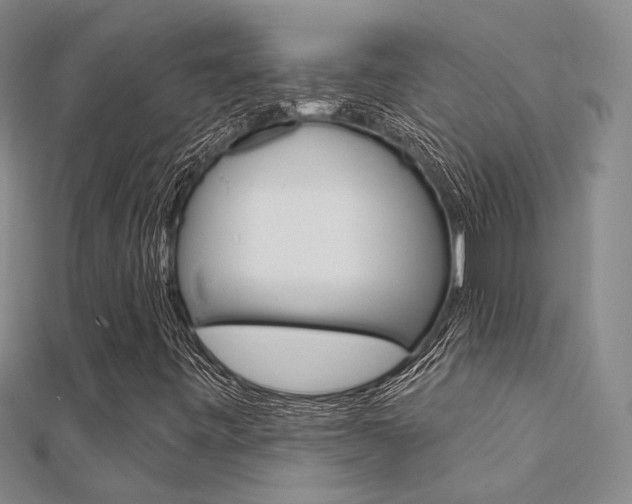 X0000112161443200908070929