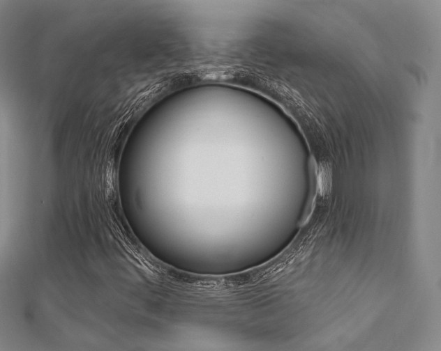 X0000112161444200908070929