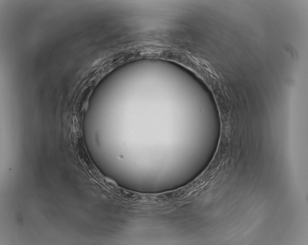 X0000112161445200908070929