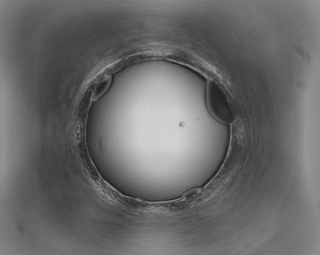 X0000112161448200908070929