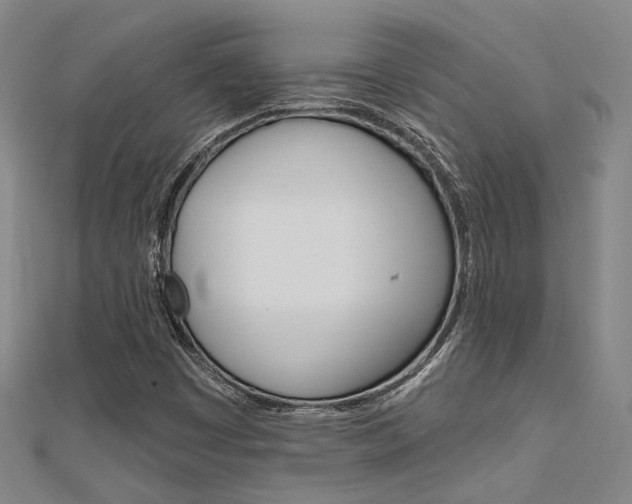 X0000112161449200908070929