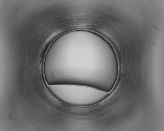 X0000112161450200908070929