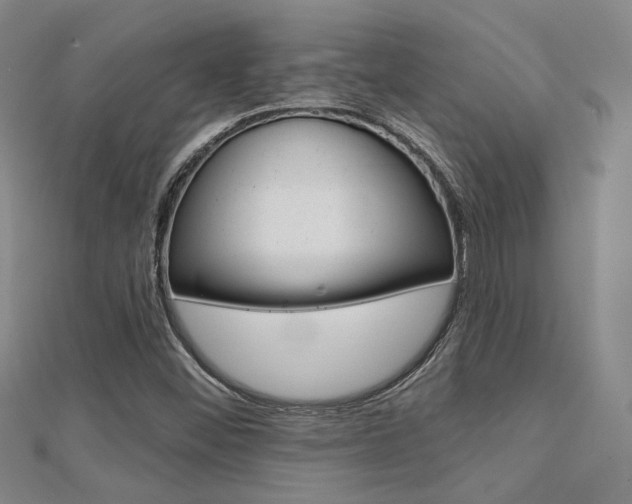 X0000112161452200908070929