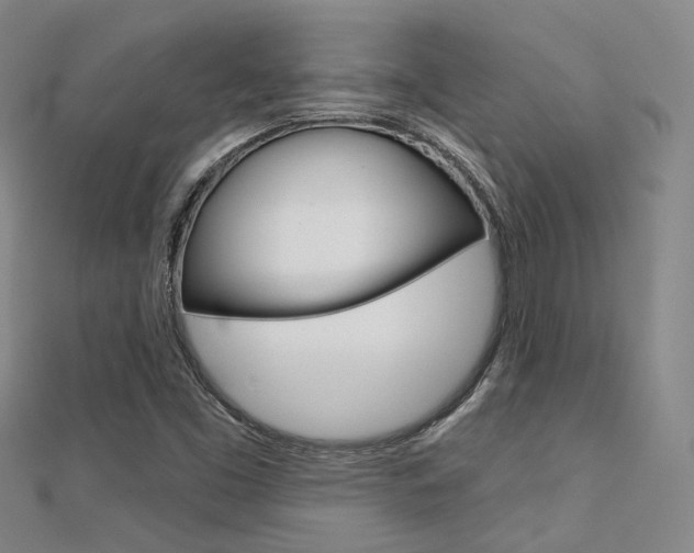 X0000112161453200908070928