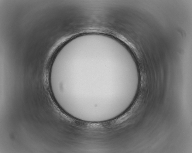 X0000112161454200908070928