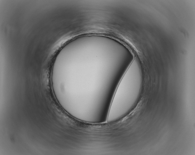 X0000112161455200908070928