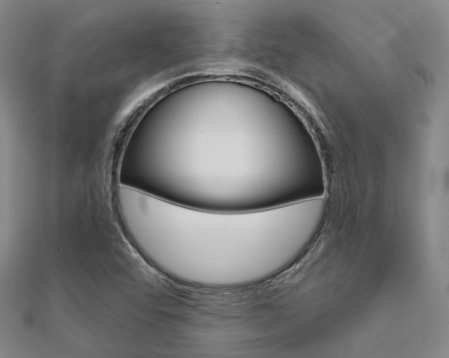 X0000112161456200908070928