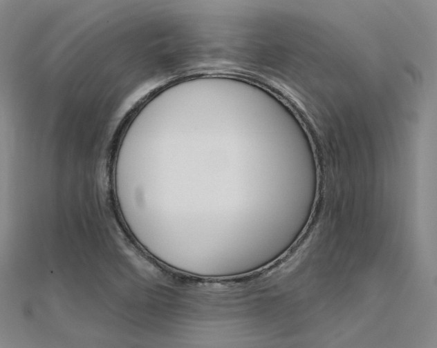 X0000112161458200908070928