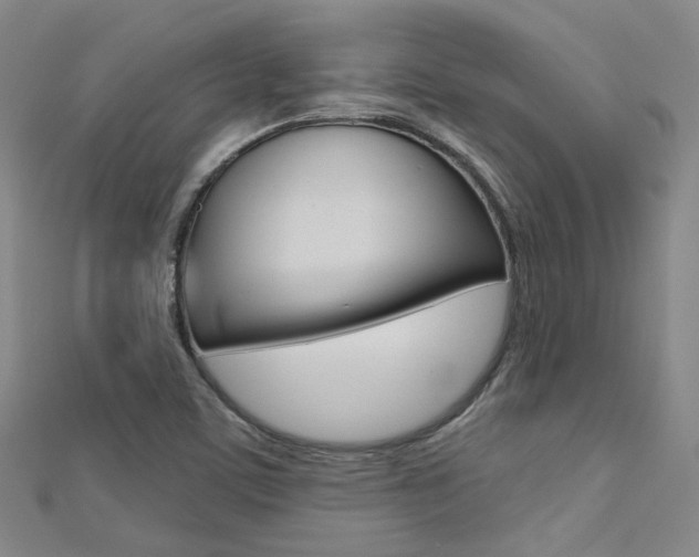 X0000112161459200908070928