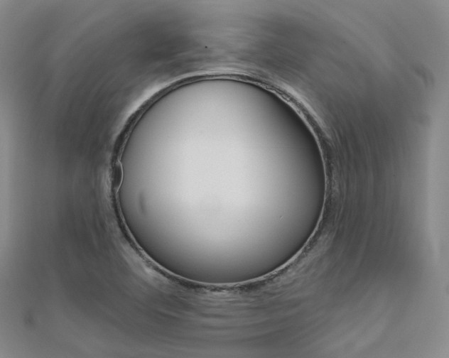 X0000112161460200908070928