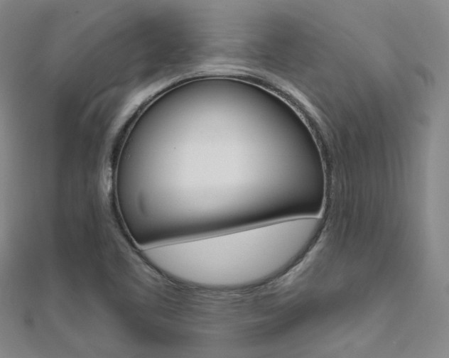 X0000112161461200908070928