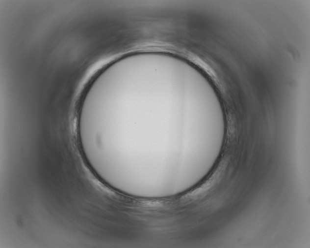 X0000112161462200908070928
