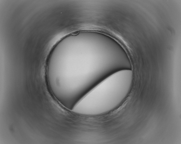 X0000112161463200908070928
