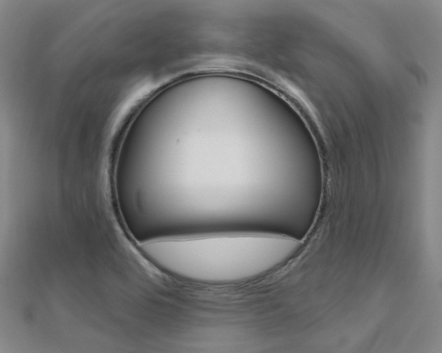 X0000112161464200908070928
