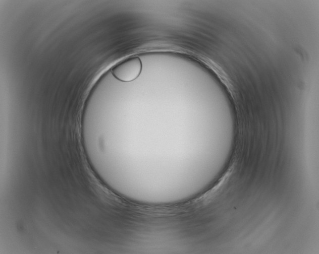 X0000112161465200908070928