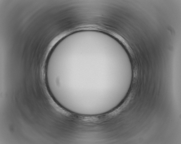 X0000112161466200908070928