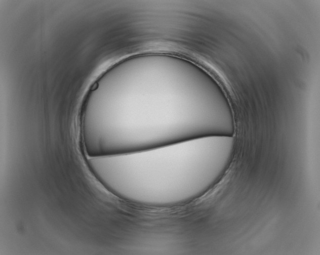 X0000112161467200908070928