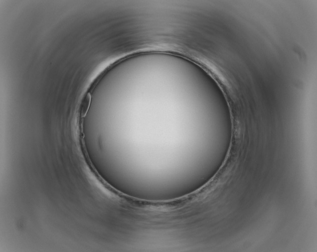 X0000112161468200908070928