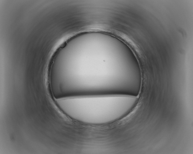 X0000112161469200908070928