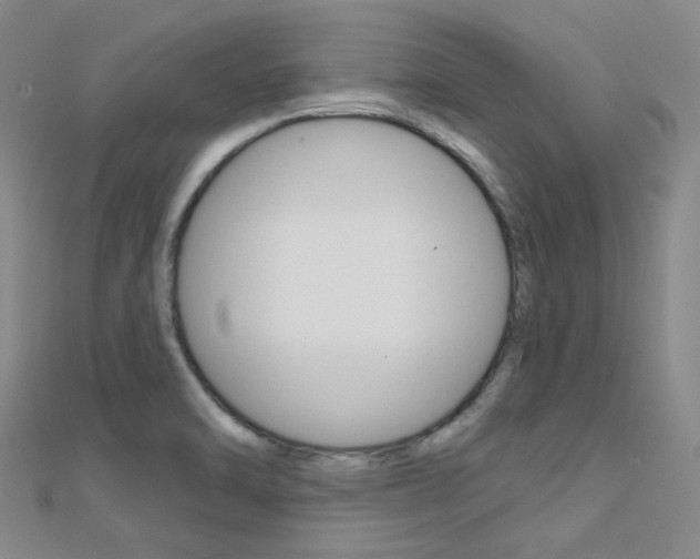 X0000112161470200908070928