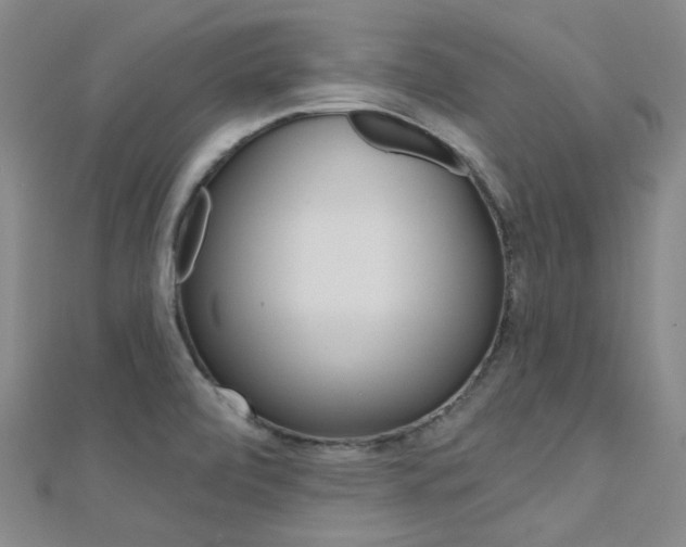 X0000112161472200908070928