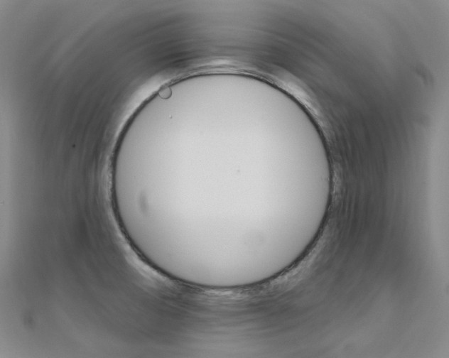 X0000112161474200908070928
