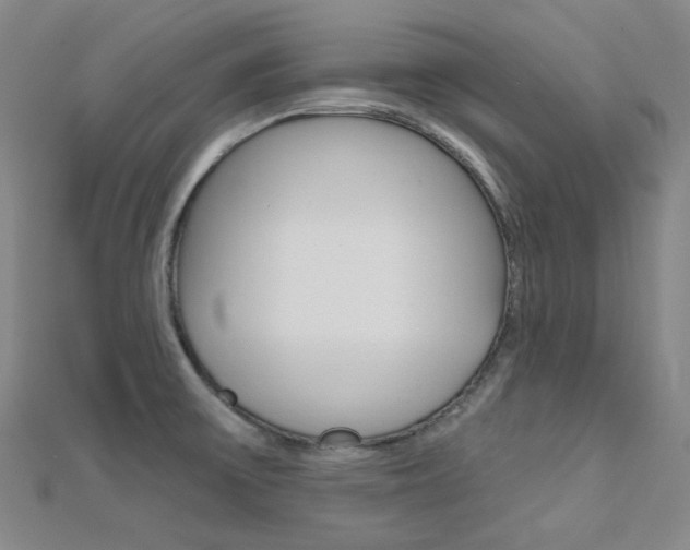 X0000112161475200908070928