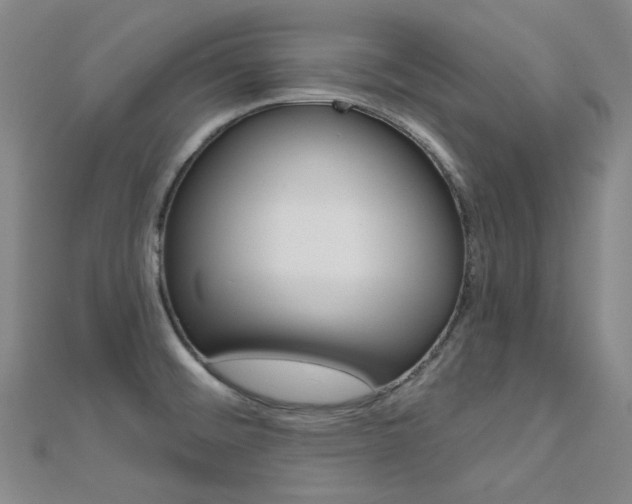 X0000112161476200908070928