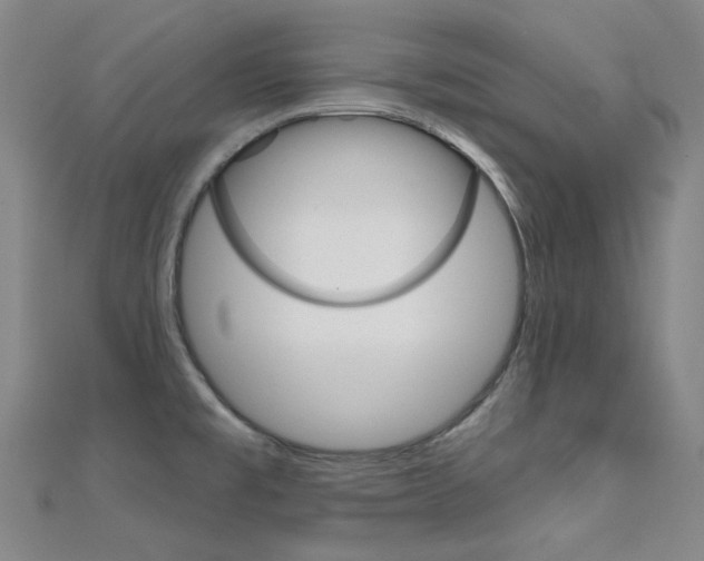 X0000112161477200908070928