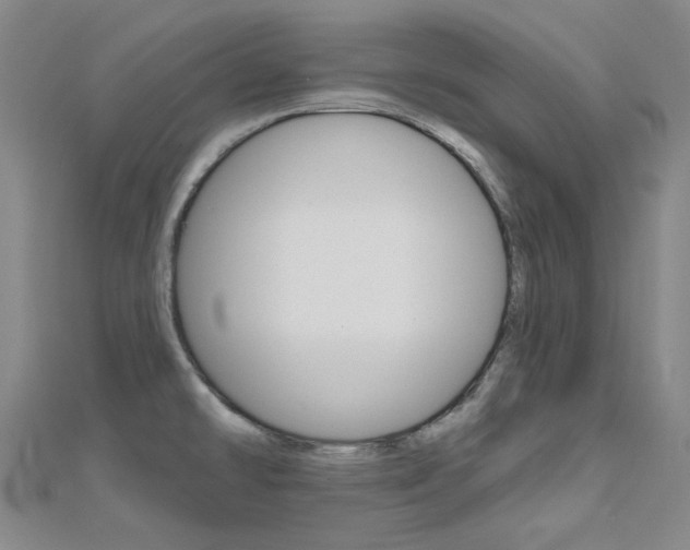 X0000112161478200908070928