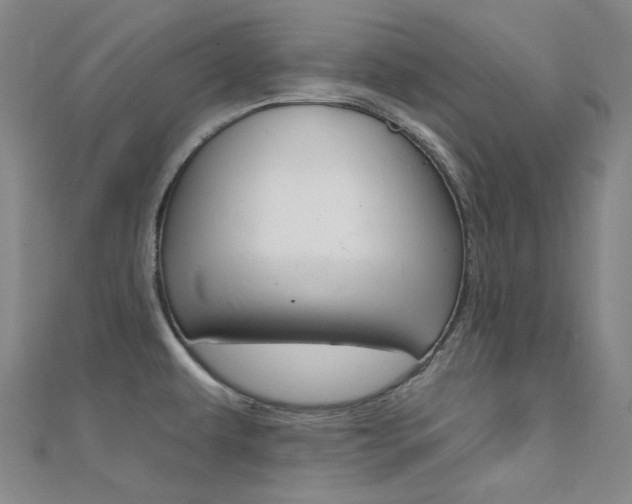 X0000112161479200908070928