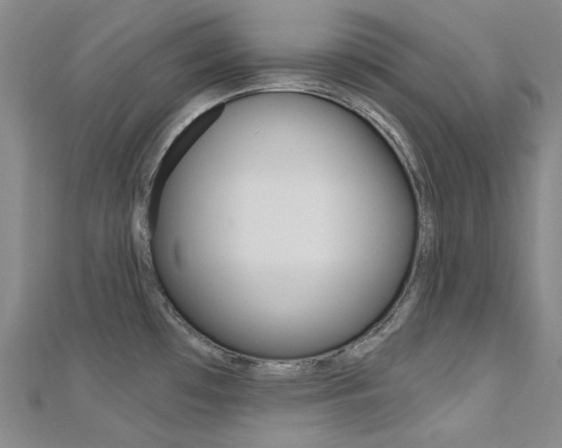 X0000112161481200908070928