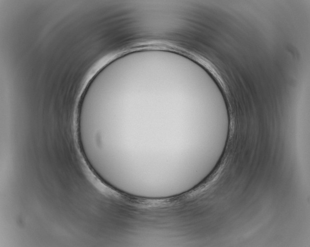 X0000112161482200908070928