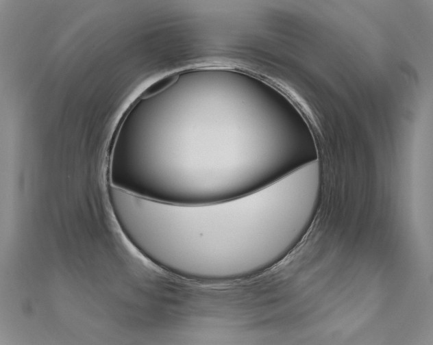 X0000112161484200908070928