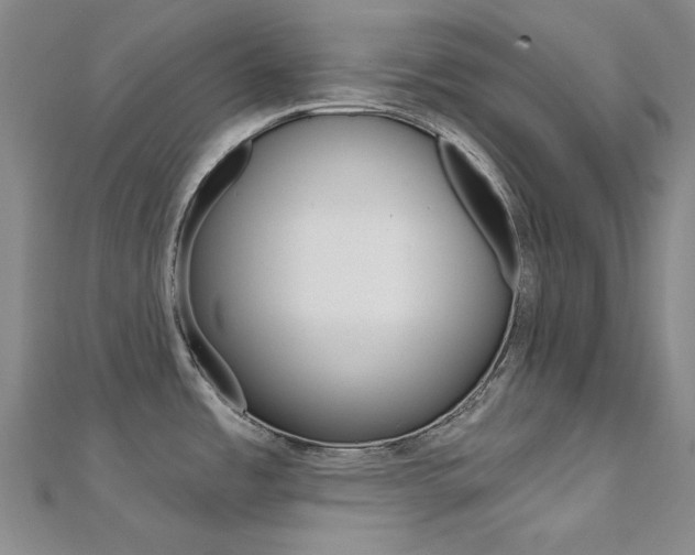 X0000112161485200908070928