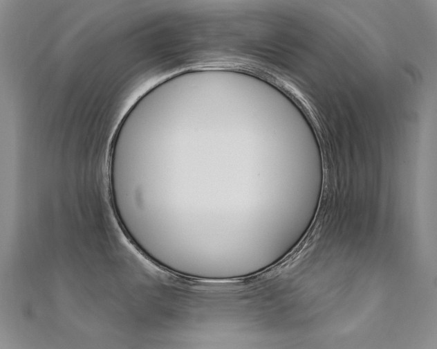 X0000112161487200908070928
