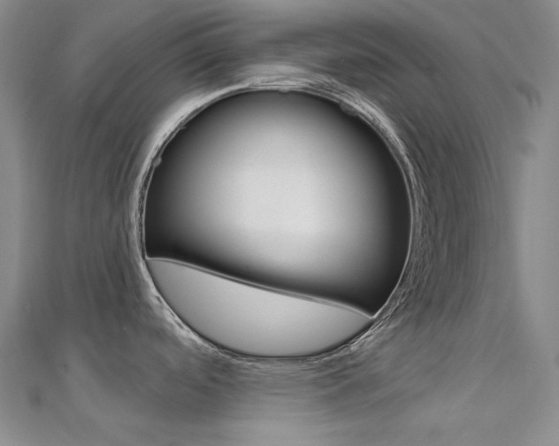 X0000112161488200908070928