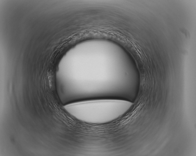X0000112161490200908070927