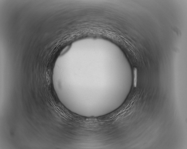 X0000112161491200908070927