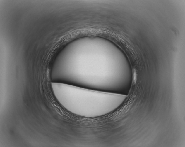 X0000112161492200908070927