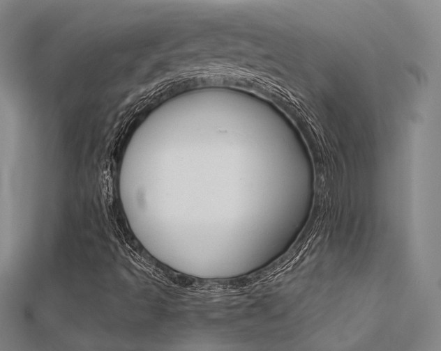 X0000112161493200908070927