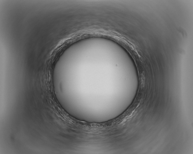 X0000112161494200908070927