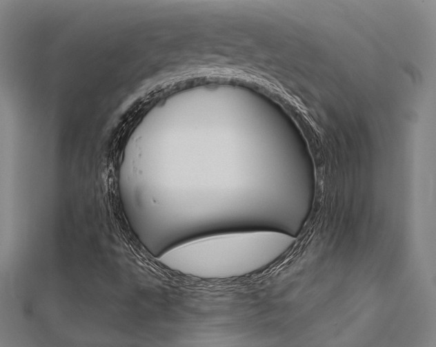 X0000112161495200908070928
