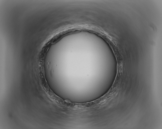 X0000112161496200908070928