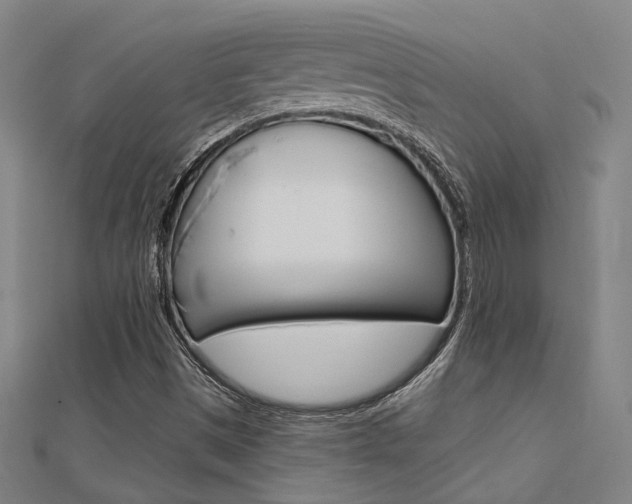 X0000112161497200908070928