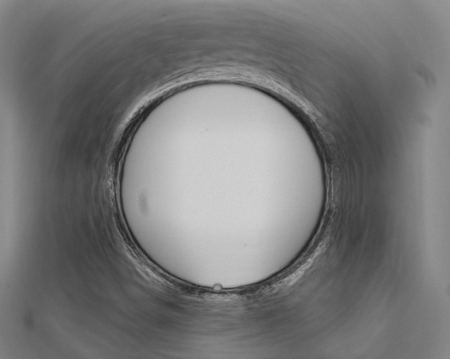X0000112161498200908070928