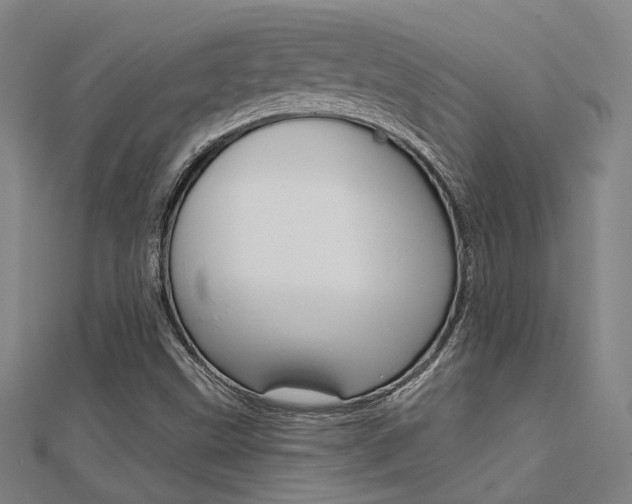 X0000112161499200908070928
