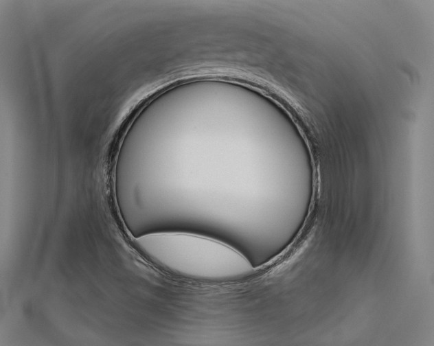 X0000112161501200908070928